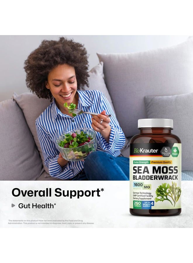 MAUWE HERBS Irish Sea Moss Capsules 1600 mg - 250 Count - Vegan Bladderwrack with Chondrus Crispus Sea Moss Supplement - Image 2