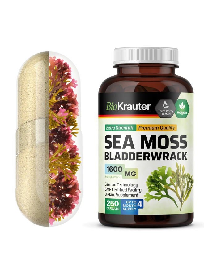 MAUWE HERBS Irish Sea Moss Capsules 1600 mg - 250 Count - Vegan Bladderwrack with Chondrus Crispus Sea Moss Supplement - Image 1