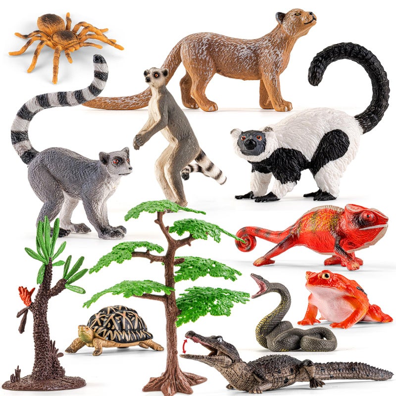 THINKBAY 12PCS Realistic Madagascar Animal Figurines Toys Plastic Animals Jungle Animals Figures Playset Lemur Chameleon Tortoise Frog Crocodile Snake with Tree Valentines Day Gifts for Kids - Image 3