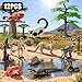 THINKBAY 12PCS Realistic Madagascar Animal Figurines Toys Plastic Animals Jungle Animals Figures Playset Lemur Chameleon Tortoise Frog Crocodile Snake with Tree Valentines Day Gifts for Kids - Image 4