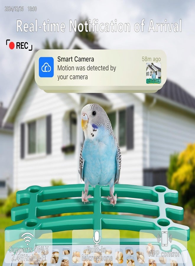 Bsemax Smart Bird Feeder with Camera Solar Powered, 2.5K HD AI Identify Species, Smart Bird House with Cam, Auto Capture Animal Videos, Instant Notifications, Gift for Animal Lovers and Mom Dad - Image 3
