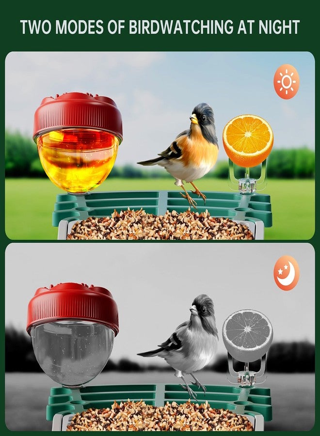 Bsemax Smart Bird Feeder with Camera Solar Powered, 2.5K HD AI Identify Species, Smart Bird House with Cam, Auto Capture Animal Videos, Instant Notifications, Gift for Animal Lovers and Mom Dad - Image 4