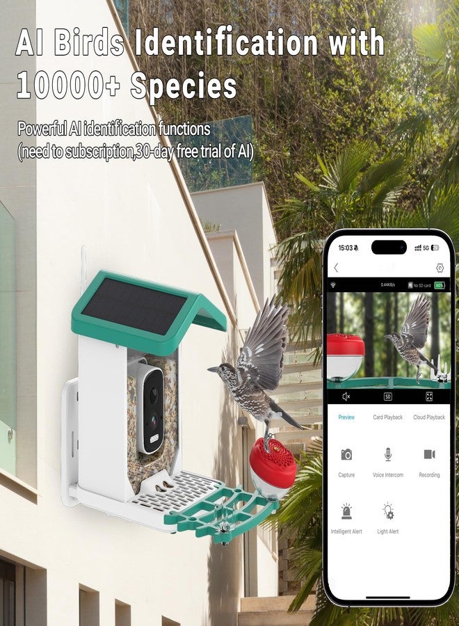 Bsemax Smart Bird Feeder with Camera Solar Powered, 2.5K HD AI Identify Species, Smart Bird House with Cam, Auto Capture Animal Videos, Instant Notifications, Gift for Animal Lovers and Mom Dad - Image 2