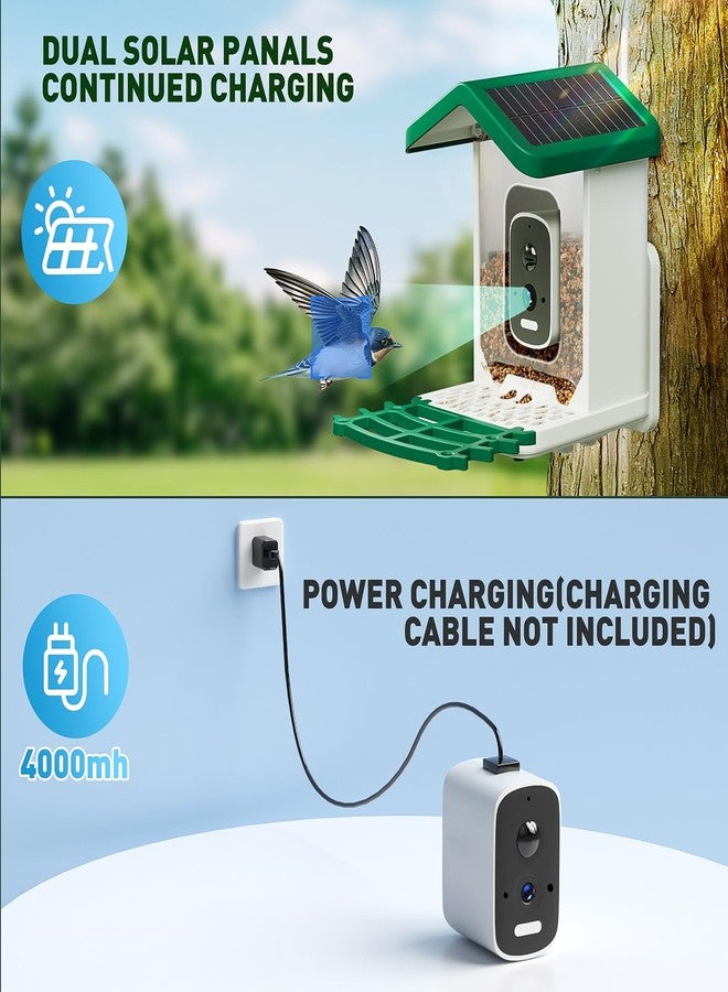 Bsemax Smart Bird Feeder with Camera Solar Powered, 2.5K HD AI Identify Species, Smart Bird House with Cam, Auto Capture Animal Videos, Instant Notifications, Gift for Animal Lovers and Mom Dad - Image 5