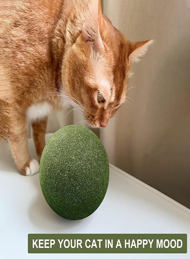 VOXEL Natural Catnip Wall Balls for Cats - 360° Rotatable Compressed Catnip Licking Toy, Edible Kitten Chew Treats for Teeth Cleaning, Boredom Relief & Indoor Play (Pack of 2) - Image 2