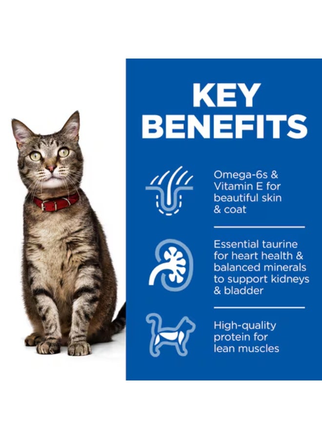 هيلز Hill’s Science Plan Adult Wet Cat Food Chicken Pouches (12x85g) - Image 2