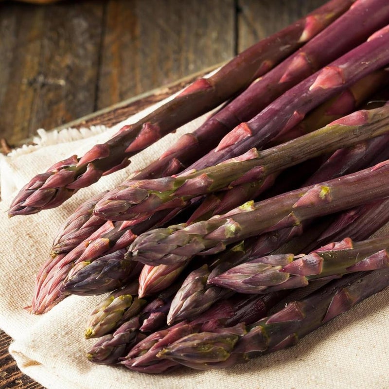 Asparagus Crown Roots for Planting - Premium Quality Easy Grow Vegetable Perennials - Quick Establishment & High Yielding Spears for Kitchen Gardens & Allotments (1, Pacific Purple) - Image 1