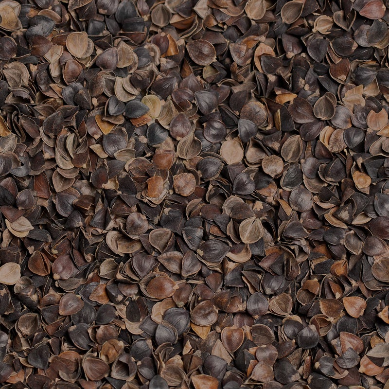 Bean Products Bean Products Buckwheat Hull Filling  20 lbs 
