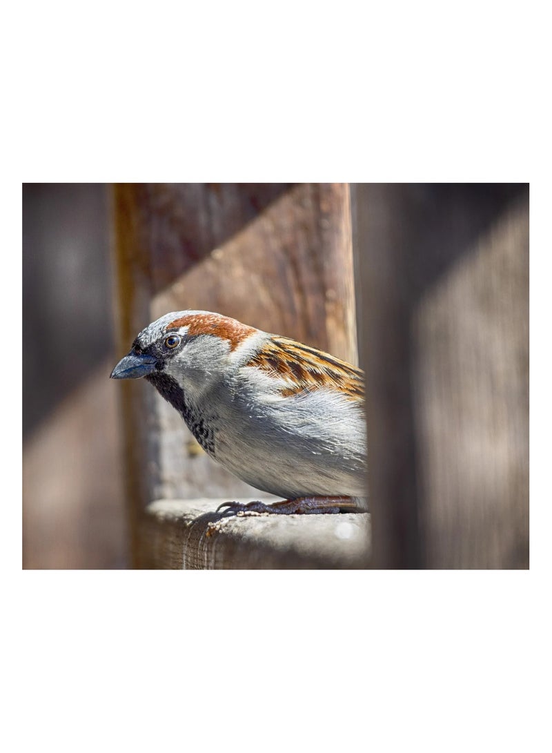 Anna 3D Simulation Sparrow Puzzle - 1000 Pieces - Image 1