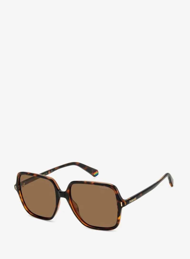 Polaroid  Square Sunglasses Frames  | Best Price UAE