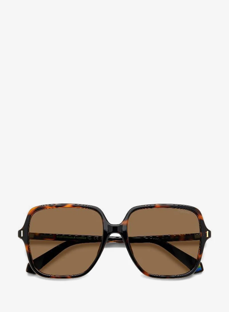 Polaroid  Square Sunglasses Frames  | Best Price UAE