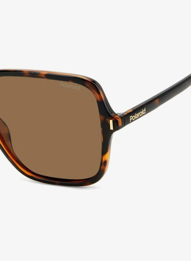 Polaroid  Square Sunglasses Frames  | Best Price UAE