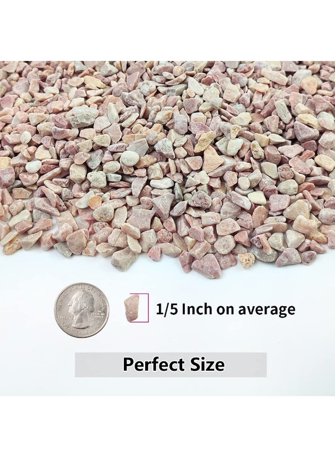 Polished natural pebbles, approximately 0.6 cm in diameter, for decorating succulent plants, vases, and aquariums. - Image 2