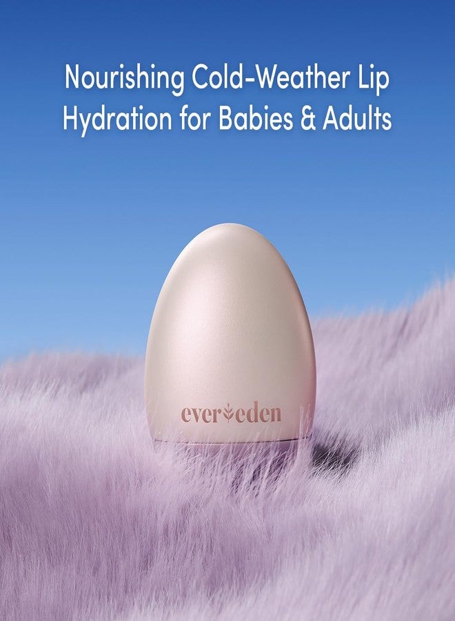 إيفردين مرطب شفاه إيفريدن فائق الترطيب للأطفال: مرطب شفاه نظيف ونباتي، مهدئ ومغذي، مناسب للمناخات القاسية والباردة - مع فطر تشاغا وسيراميدات - Image 5