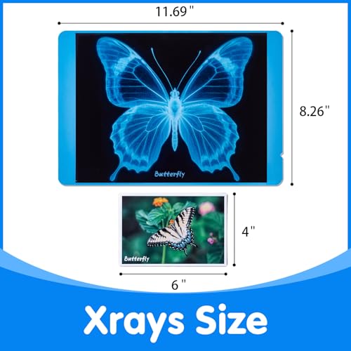 Odoorgames Insect Xrays Bug Science Kit Bug Detectives for Kids Light Table Accessories STEM Learning Insect XRay Set - Image 5
