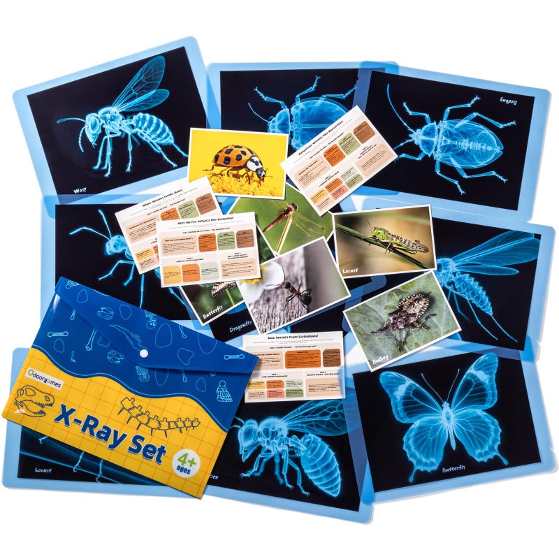 Odoorgames Insect Xrays Bug Science Kit Bug Detectives for Kids Light Table Accessories STEM Learning Insect XRay Set - Image 3