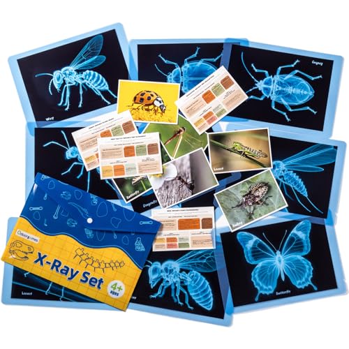 Odoorgames Insect Xrays Bug Science Kit Bug Detectives for Kids Light Table Accessories STEM Learning Insect XRay Set - Image 1