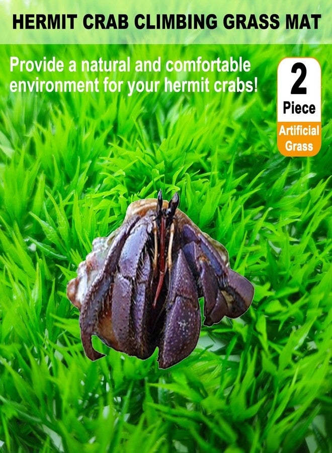 Anranmm 2 PCS Hermit Crab Climbing Toys Faux Grass Mat 10 x 10 Inch Fake Turf Hermit Crab Climbing Wall Fish Tank Artificial Plant Decorations HermitCrab Supplies Small Animals Cage Accessories - Image 2