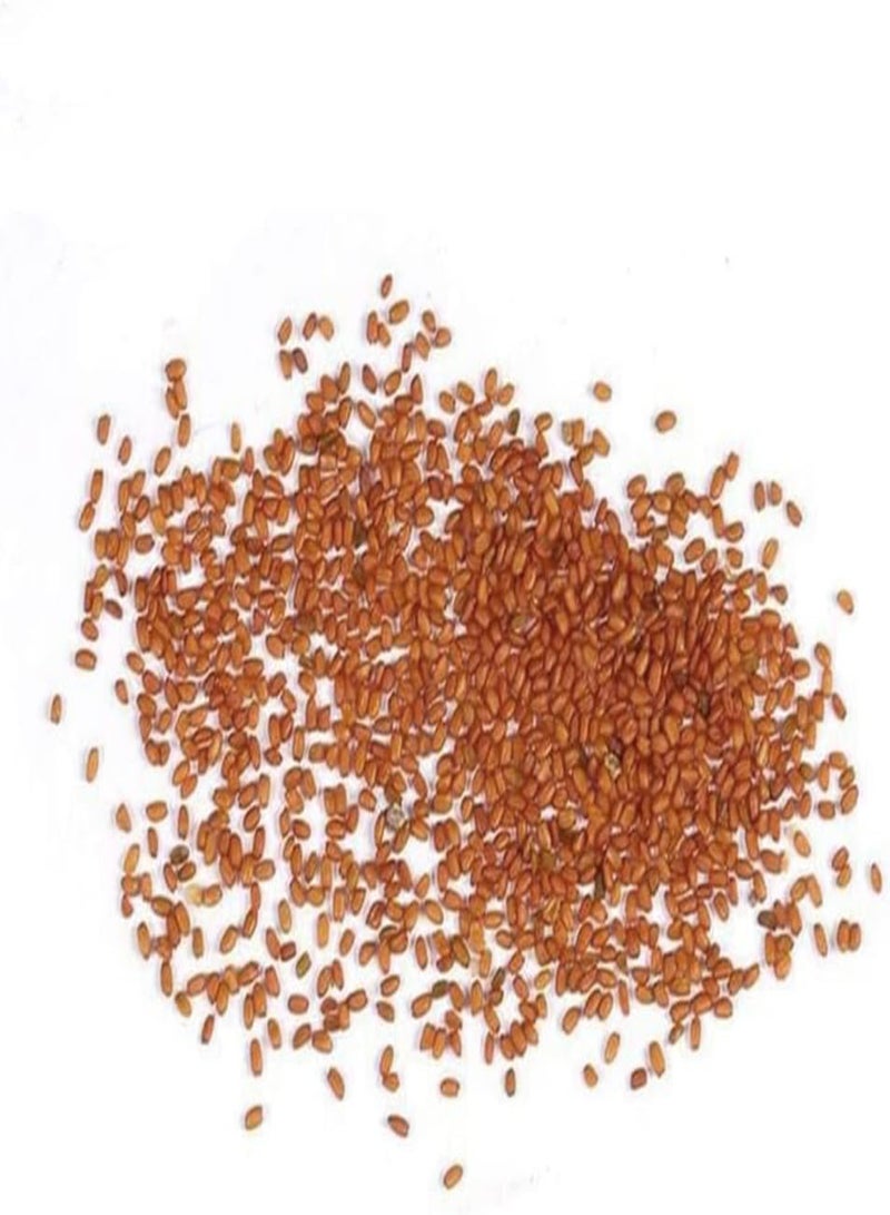 GGOOT 50Pcs Colorful Strawberry Seeds Growing Kit Bonsai Delicious Fruit Plant Garden Decor Blue Strawberry Seeds - Image 2