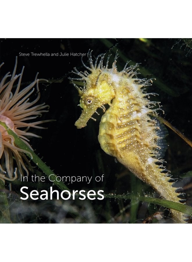 In the Company of Seahorses - Hardback