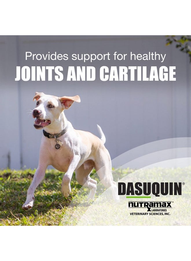 Nutramax Laboratories - Nutramax Dasuquin Joint Health Supplement for Small to Medium Dogs - With Glucosamine, Chondroitin, ASU, Boswellia Serrata Extract, Green Tea Extract, 150 Chewable Tablets - Image 1