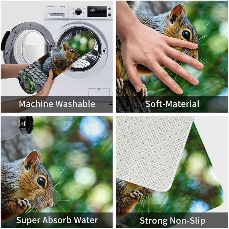 حصيرة الباب PHAYAH Squirrel مقاس 16 × 24 بوصة للاستخدام الداخلي والخارجي للشرفة والجراج والرواق - Image 5
