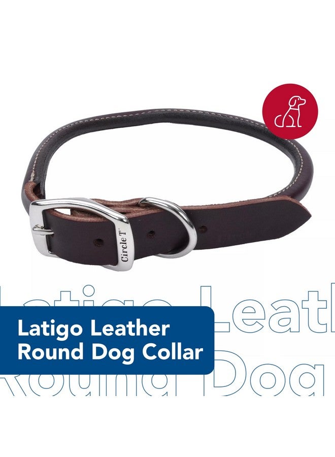 كوستال طوق دائري من الجلد للكلاب من Coastal Pet Circle T Latigo - طوق جلدي مصنوع يدويًا للكلاب - مريح للكلاب ذات الشعر الطويل أو البشرة الحساسة - 3/8 بوصة × 14 بوصة - Image 2