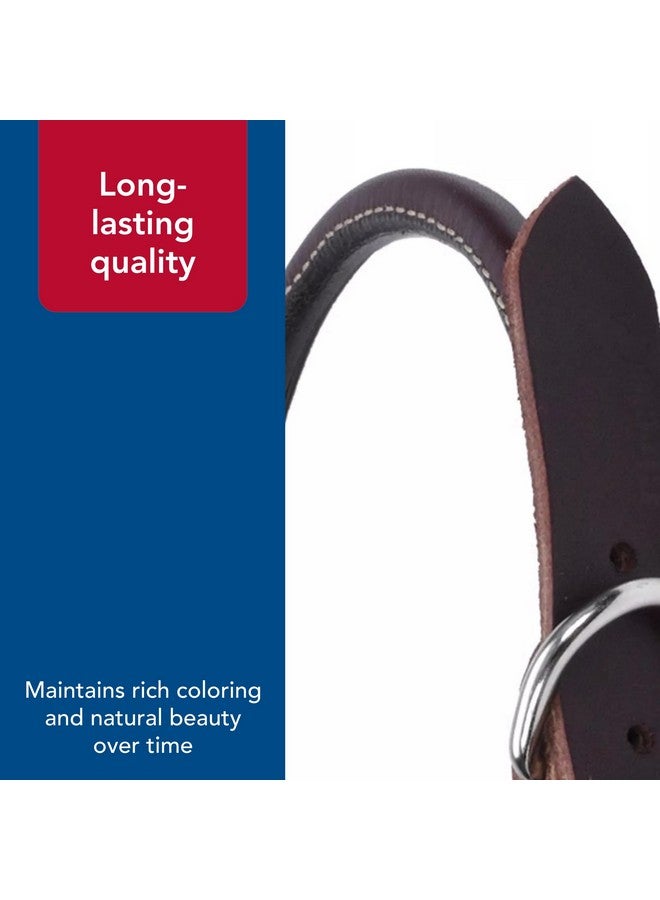 كوستال طوق دائري من الجلد للكلاب من Coastal Pet Circle T Latigo - طوق جلدي مصنوع يدويًا للكلاب - مريح للكلاب ذات الشعر الطويل أو البشرة الحساسة - 3/8 بوصة × 14 بوصة - Image 5