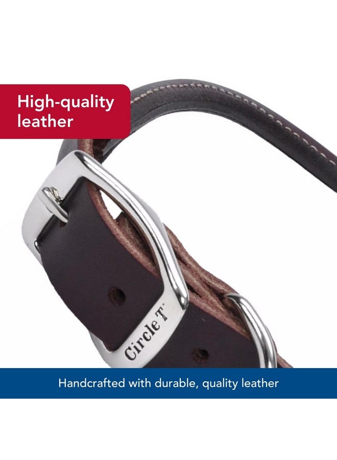 كوستال طوق دائري من الجلد للكلاب من Coastal Pet Circle T Latigo - طوق جلدي مصنوع يدويًا للكلاب - مريح للكلاب ذات الشعر الطويل أو البشرة الحساسة - 3/8 بوصة × 14 بوصة - Image 3