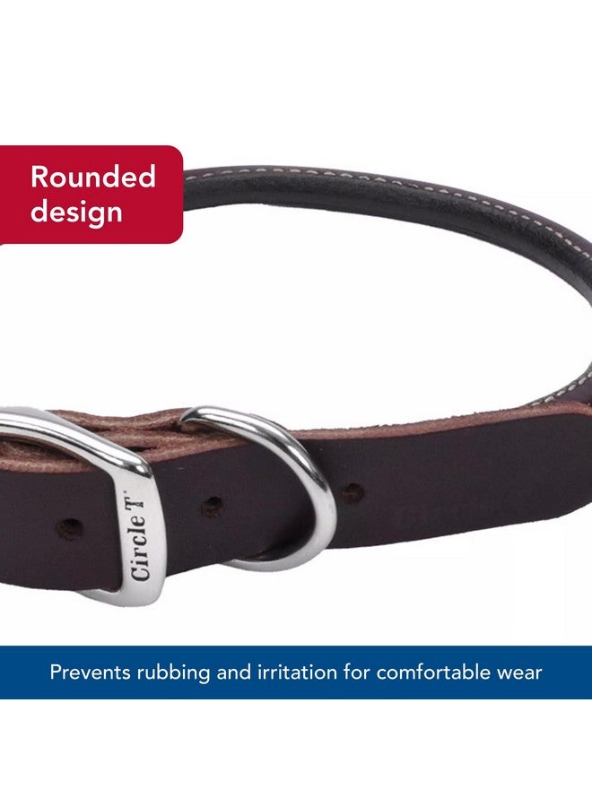 كوستال طوق دائري من الجلد للكلاب من Coastal Pet Circle T Latigo - طوق جلدي مصنوع يدويًا للكلاب - مريح للكلاب ذات الشعر الطويل أو البشرة الحساسة - 3/8 بوصة × 14 بوصة - Image 4