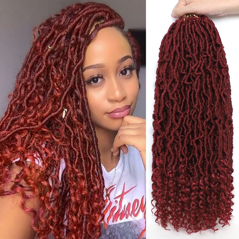 VIOLET 24 Inch Faux Locs Crochet Hair 8 Packs Boho Soft Locs Crochet Hair Prelooped Synthetic Goddess Crochet Hair for Black Women24Inch 8Packs BUG