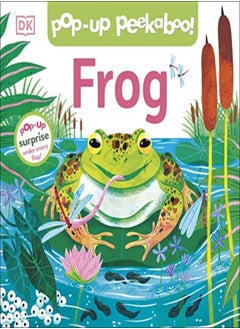 PopUp Peekaboo Frog 