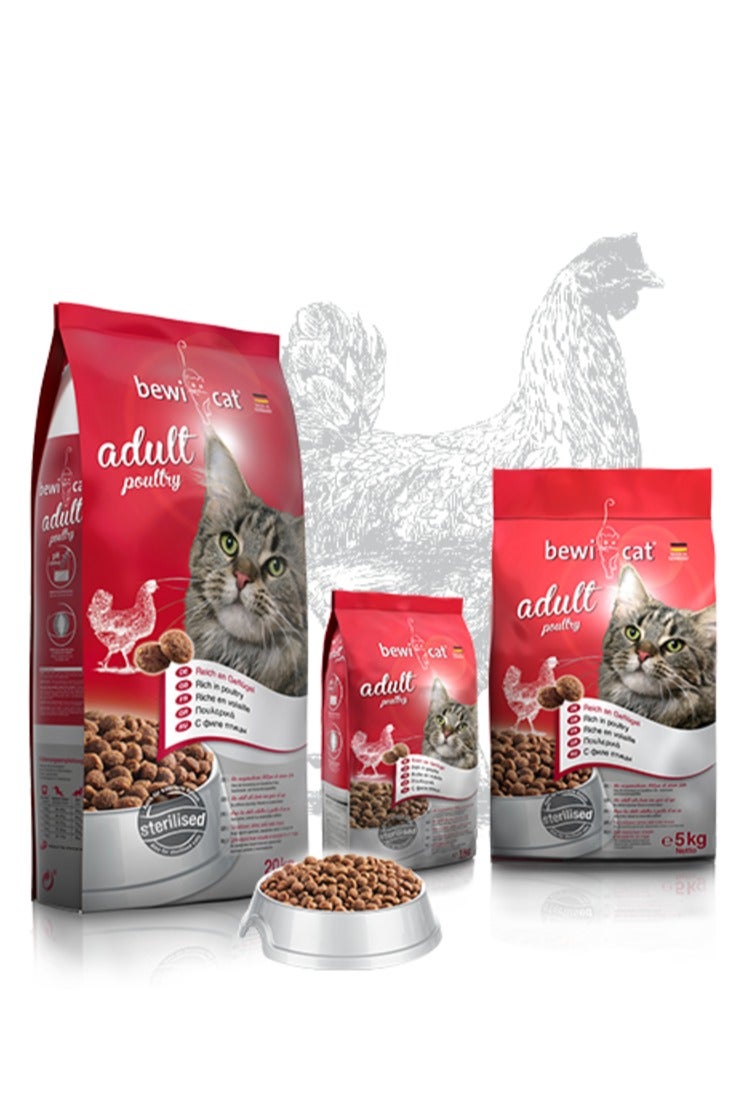 بيوي كات بيوي فراخ  ادلت