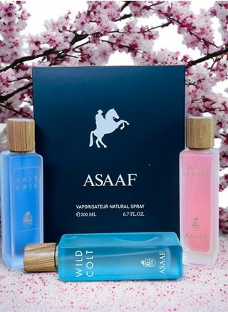 بكج عطور عساف 3 عبوات كل عبوة 200 مل - pzsku/Z6ABAB49DC8DC3AAA75EEZ/45/1748817525/9f1b7f4c-72af-4d45-ae39-b21b88f129ae