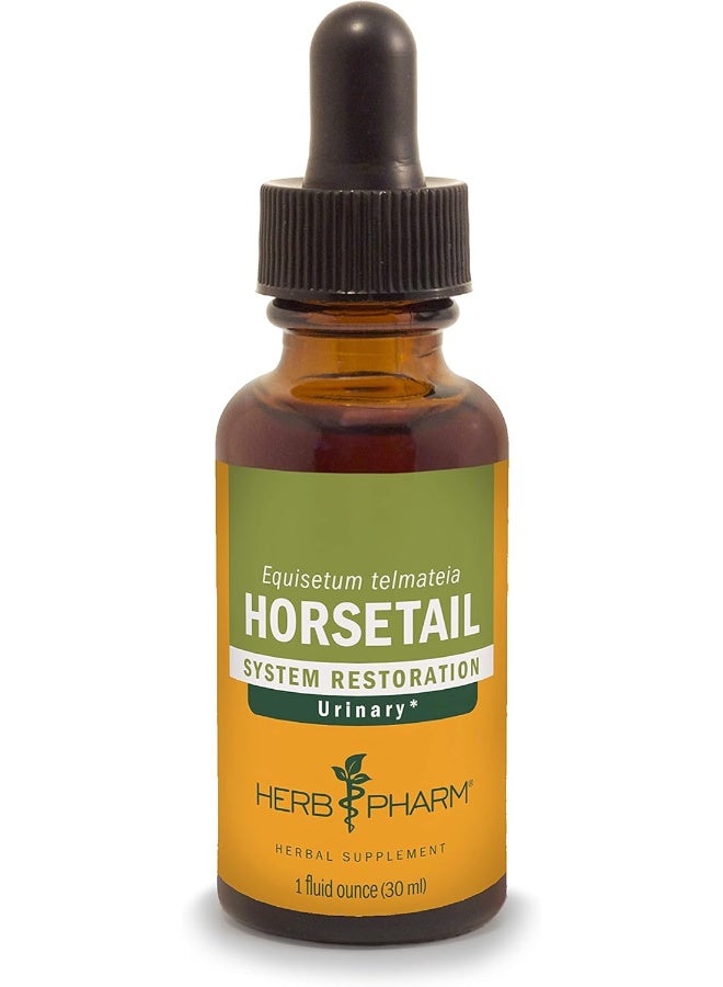 Herb Pharm Horsetail Extract for Urinary System Support - 1 - Image 1