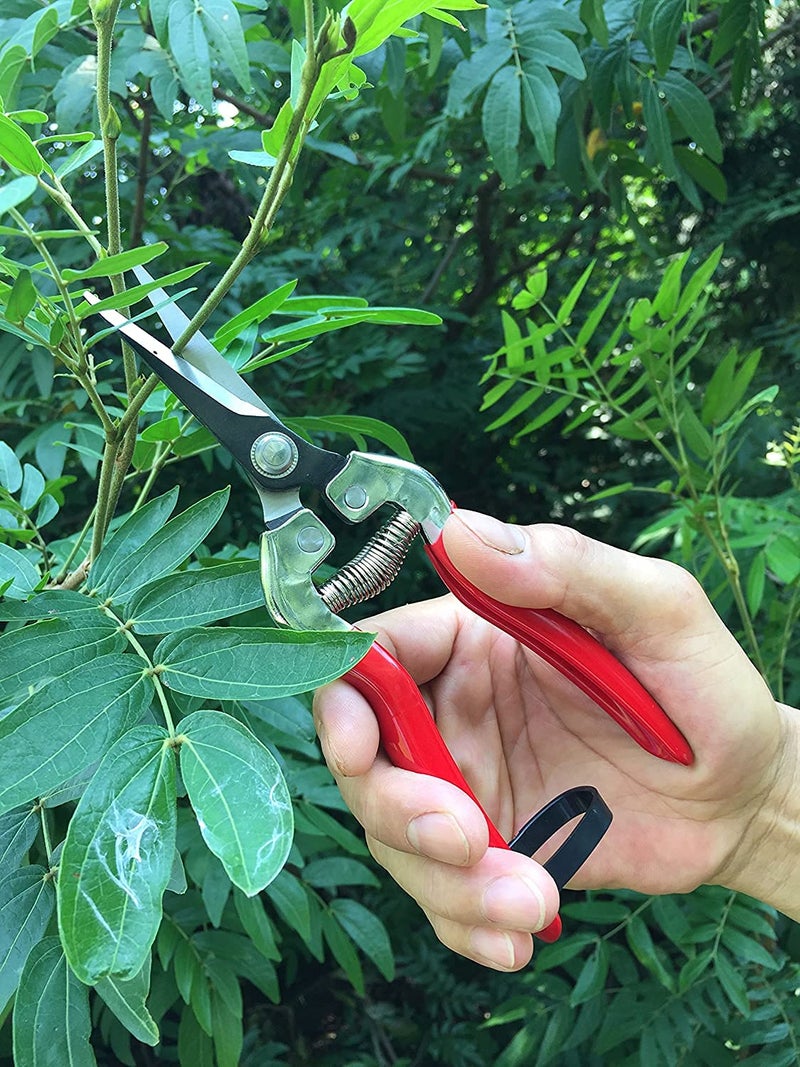gonicc Professional Micro-Tip Pruning Snip (GPPS-1008), Small Garden Hand Pruner & shears For Arranging Flowers, Trimming Plants & Hydroponic Herbs, And Harvesting Fruits & Vegetables. - Image 5