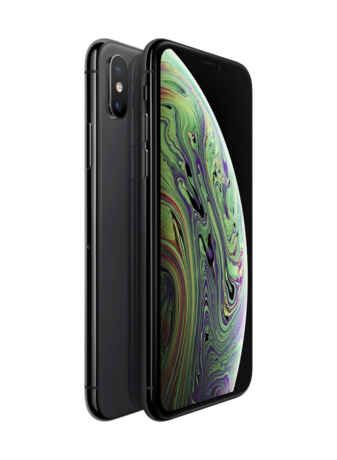 ابل  آيفون XS مع فيس تايم سعة 256 جيجابايت يدعم تقنية 4G LTE رمادي فلكي - Image 4