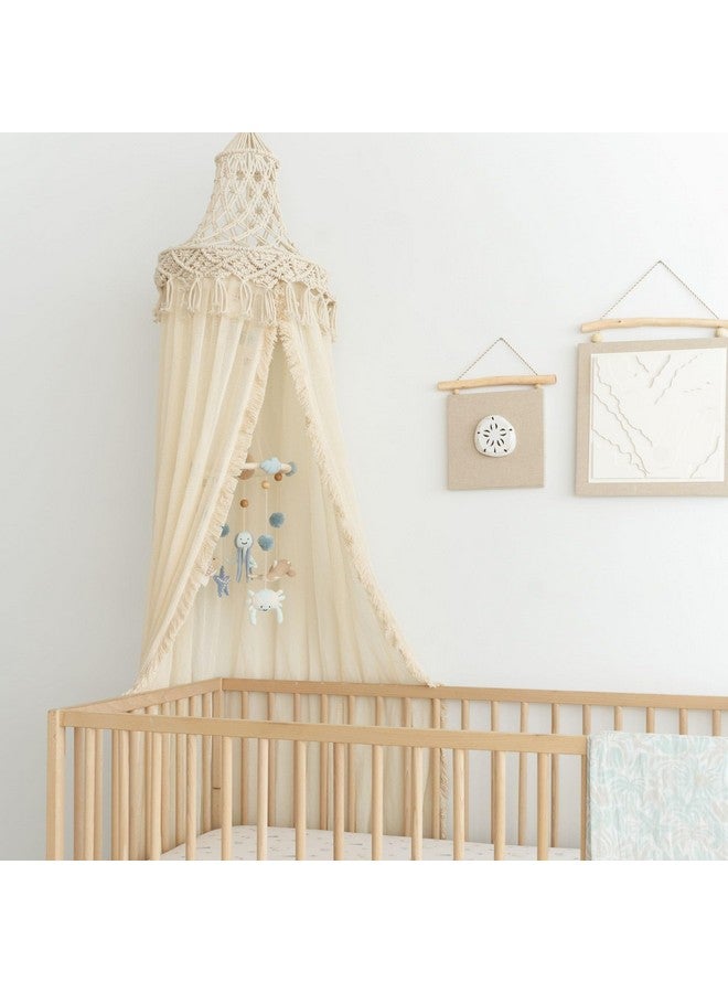 Crane Baby Ocean Nursery Wall Decor, Set of 3 (Starfish, Sand Dollar, Beach Motif) Canvas Nautical Decor For Nursery, Ocean Wall Art, Whale Nursery Decor, Beach Nursery Decor, Ocean Bedroom Decor - Image 3