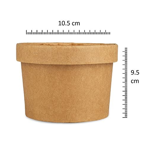 e kysa basics ekysa basics Disposable Craft Paper Food Container with Lid – 500 ml, Thick-Walled, Leak-Resistant, Eco-Friendly Bowl/Tub, Brown, Pack of 15 - Image 2