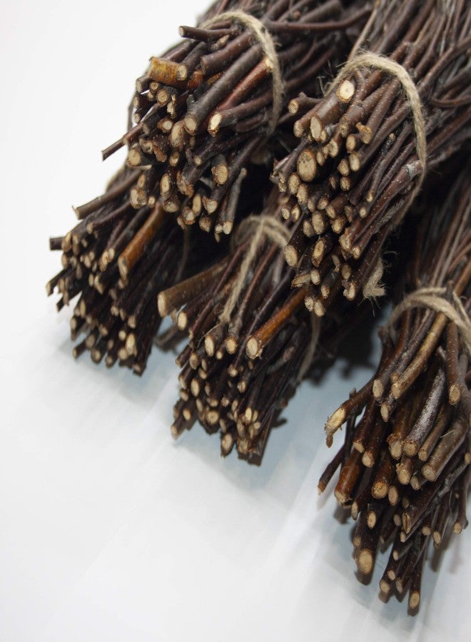 ECOVENIK - 50 psc. Birch Twigs - 100% Natural Decorative Birch Branches for Vases, Centerpieces & DIY Crafts - Birch Sticks for Decorating (16-18 Inch) - Image 3