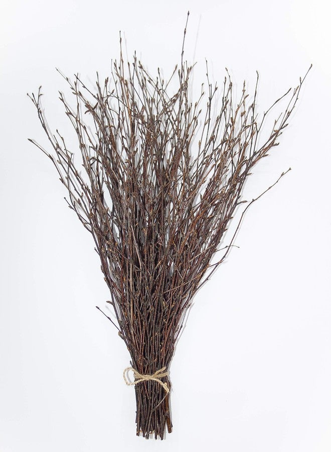 ECOVENIK - 50 psc. Birch Twigs - 100% Natural Decorative Birch Branches for Vases, Centerpieces & DIY Crafts - Birch Sticks for Decorating (16-18 Inch) - Image 1
