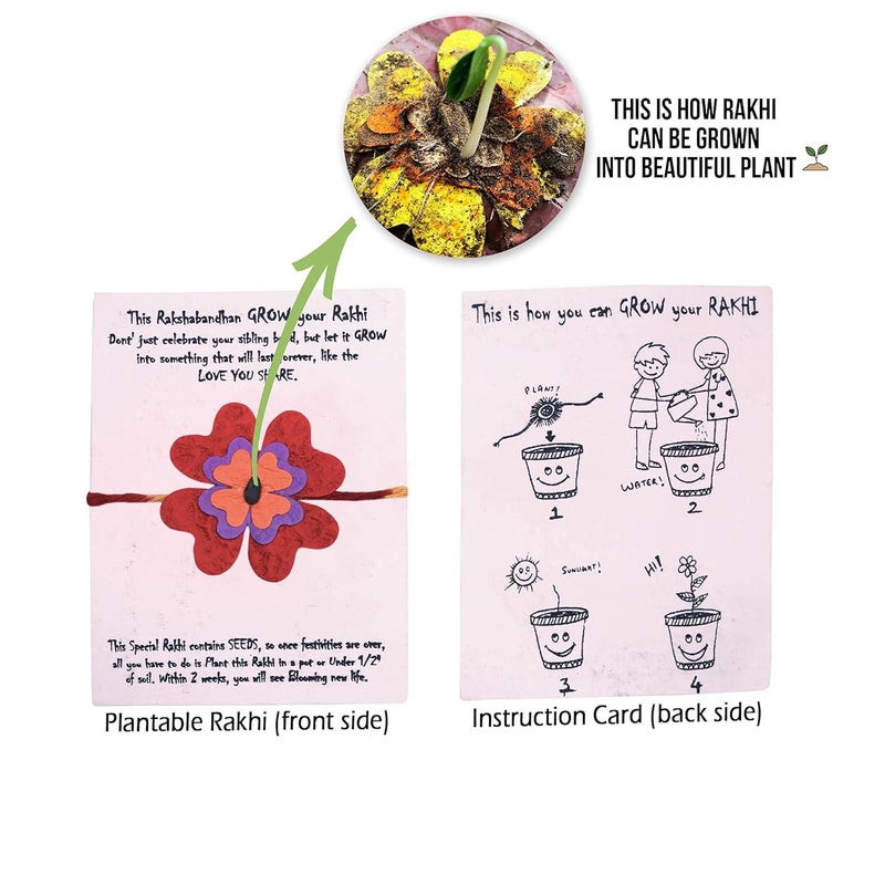 Surprise Someone Plantable Eco Friendly Organic Seeded Rakhi Envelope with Roli Chawal - Image 4