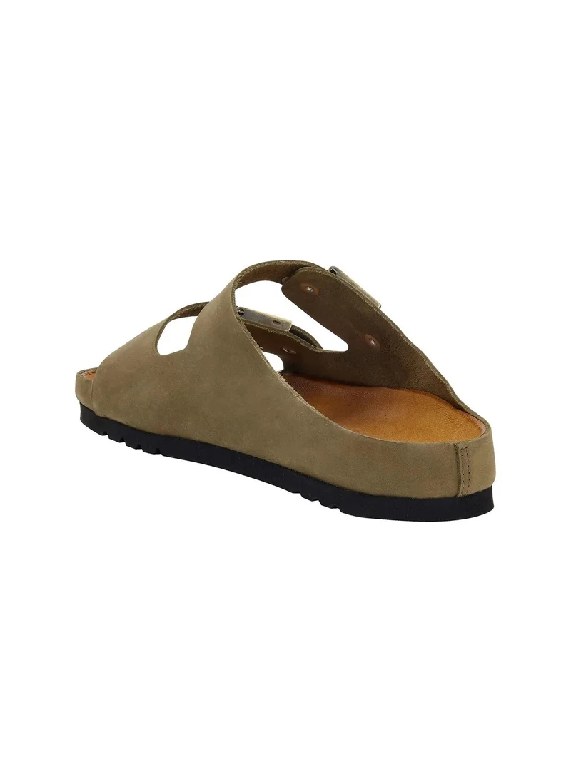 Scholl CLOGS KHAKI WILL