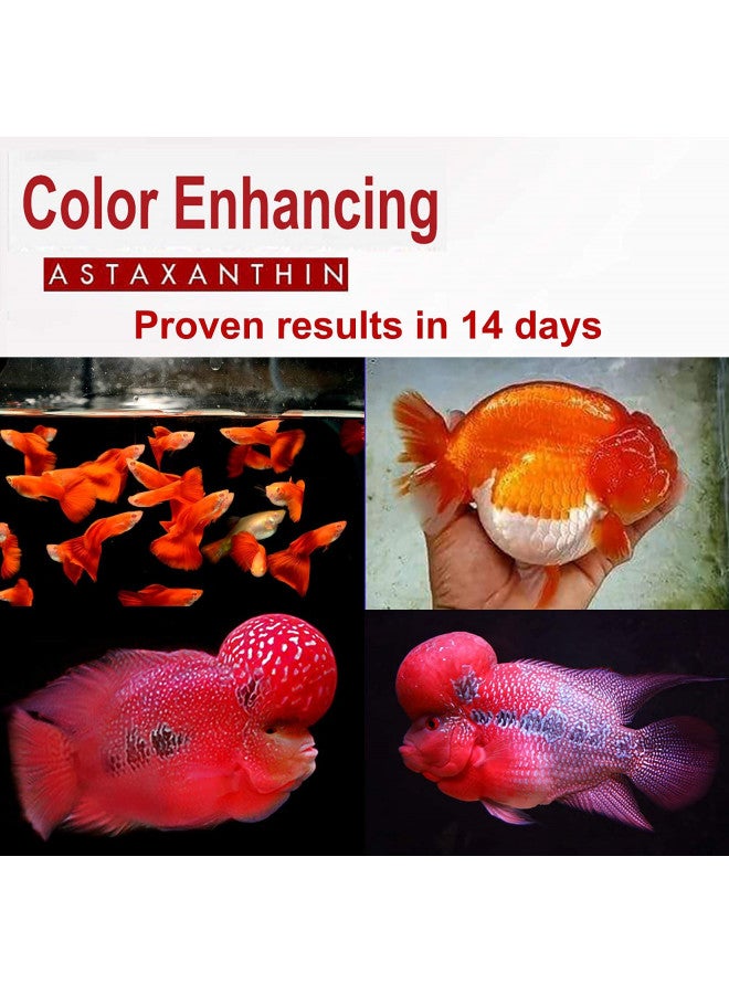 Hulx Astaxanthin Red Color Enhancing Powder All Type Fishes Tropical Fish Goldfish KOI Baby Fry Fish Guppy Betta Small Fish Use Mix Fish Food Granular Flake Sinking Floating Pellets 0.06 Lb. (30 g.) - Image 4