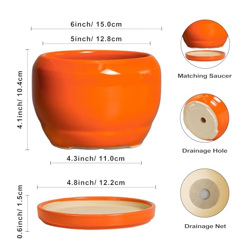 SQOWL Ceramic Plants Pots - 6 Inch Planter Indoor with Drainage Hole and Plant Saucer, Modern Round Planter Outdoor, Decorative Succulent Pot, Home Decor, Housewarming Gifts, Orange - Image 3