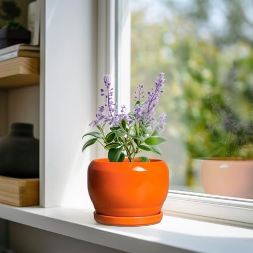SQOWL Ceramic Plants Pots - 6 Inch Planter Indoor with Drainage Hole and Plant Saucer, Modern Round Planter Outdoor, Decorative Succulent Pot, Home Decor, Housewarming Gifts, Orange - Image 2