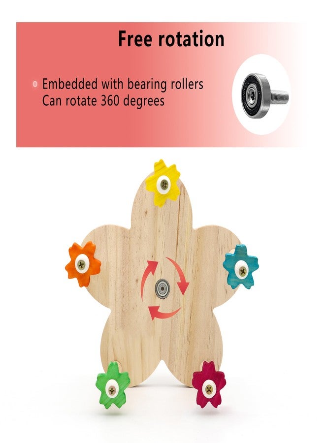 DVHEY Bird Rotating Perch Toy,Durable Unique Wooden Ferris Wheel Parrot Toys with 5 Perches,Bird Cage Accessories for Parakeet, Cockatiel, Budgerigar,Conures, Lovebirds - Image 2