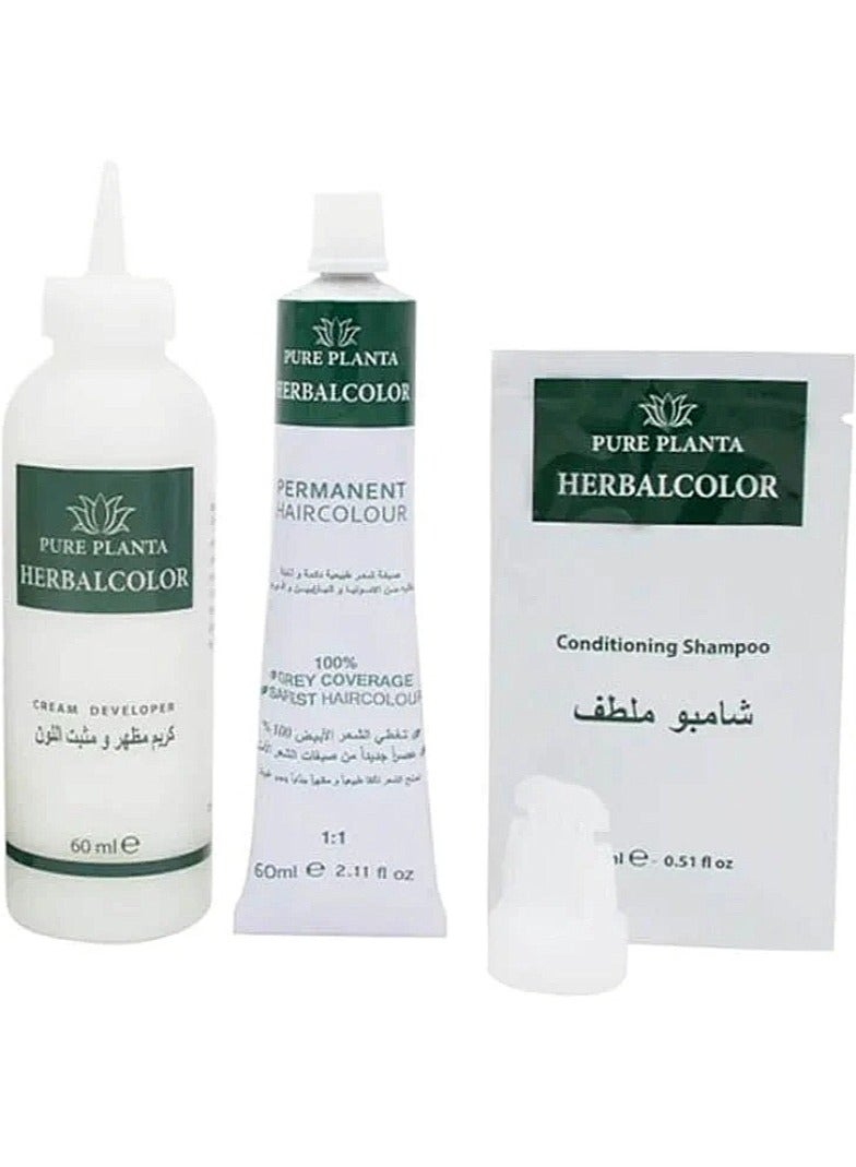 بيور بلانتا صبغة الشعر الدائمة من الأعشاب 10N أشقر بلاتيني 135ملليلتر - Image 2