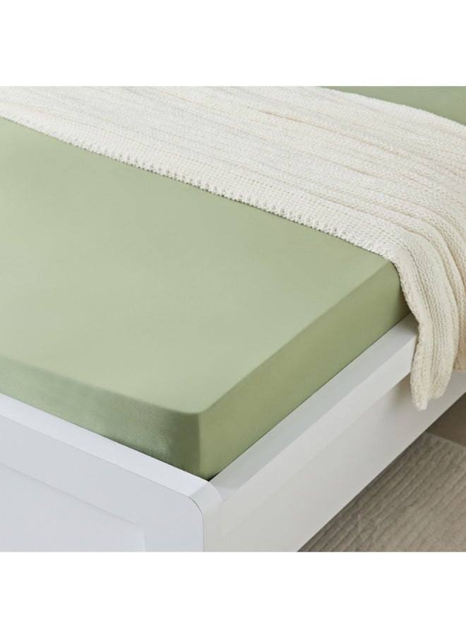 Joy Adventurer Joyful Microfiber Single Jersey Fitted Sheet 90 X 200 X 25 Cm - pzsku/Z6AC758615B504A9C8F03Z/45/_/1727165916/89d3ee9f-63c3-418d-88e5-ae9d02570e11