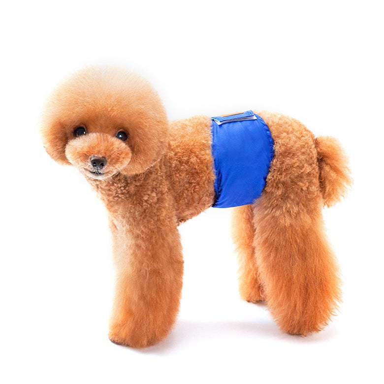 Creative Solid Color Pet Dog Physiological Pants - Image 2